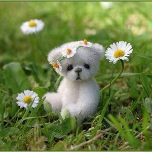 Meet your Posher, Faye